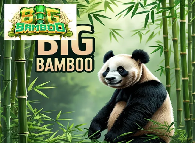 demo big bamboo